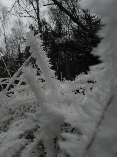 P1150621