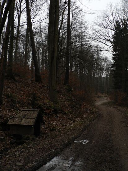 P1150836