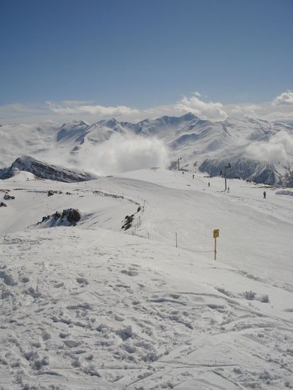 DSC03354