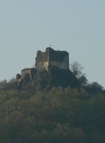 P1090994