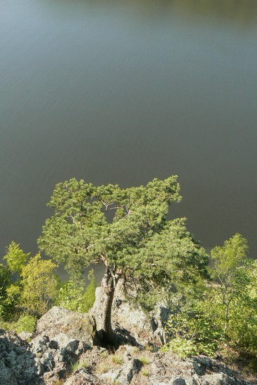 P1100113