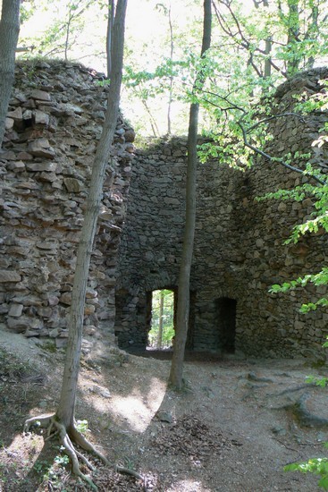 P1100131