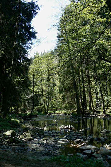 P1100201