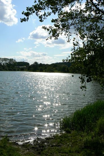 P5160189