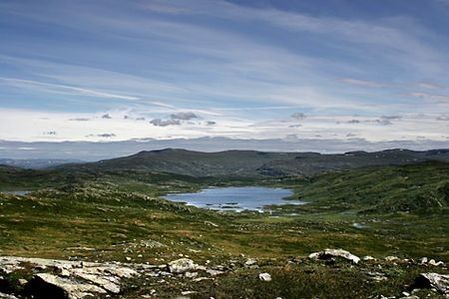 hardangervidda3848