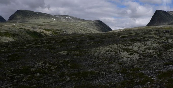 Pano_14