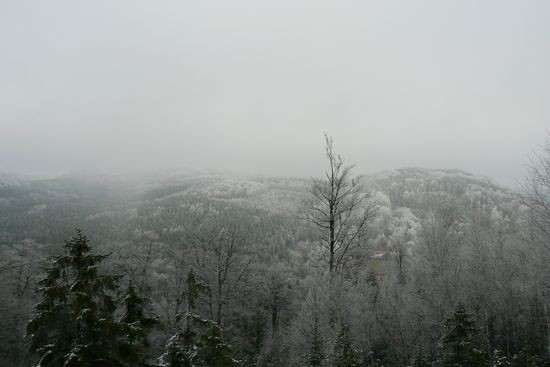 P1110524