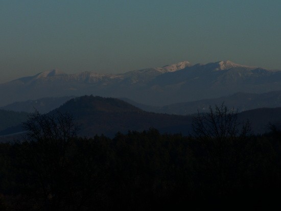P1200060