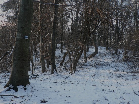 P1200069