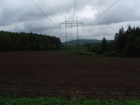 P5150008