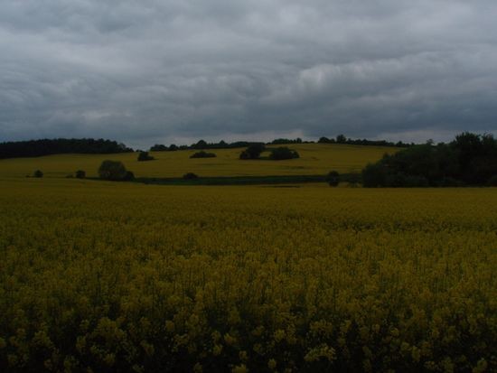 P5150017