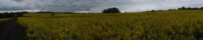 panorama