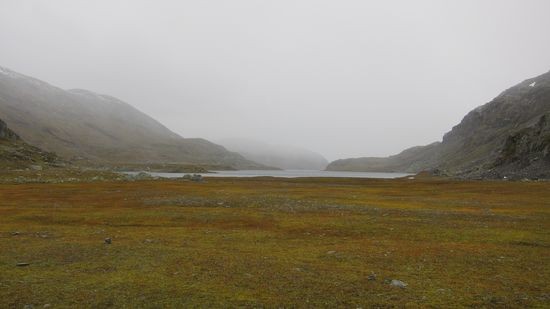 IMG_0531