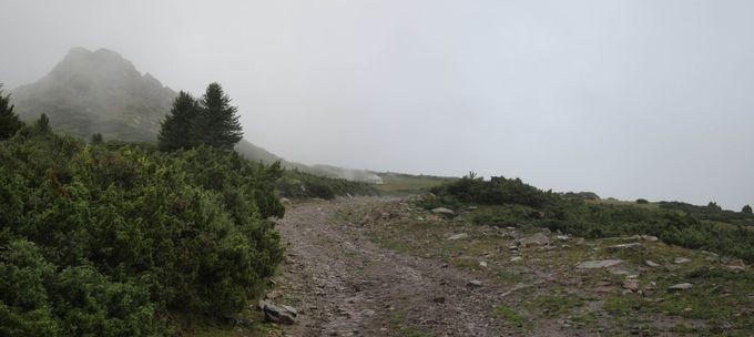 IMG_1420pano