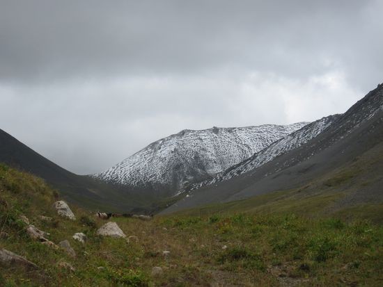 IMG_1499