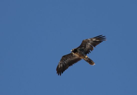 IMG_2355