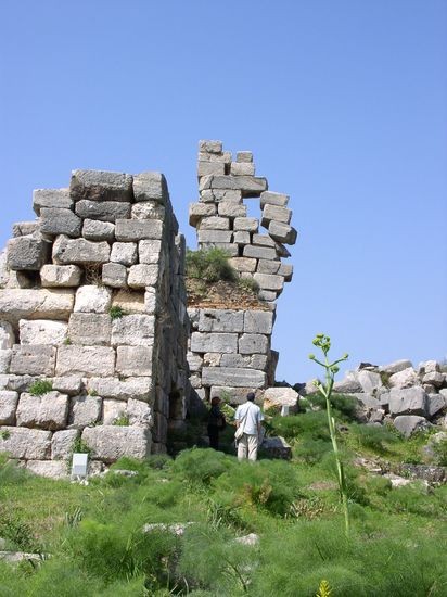 P1010115