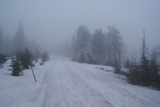 DSC00603