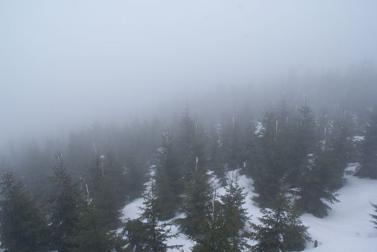 DSC00614