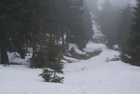 DSC00617