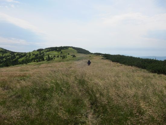 IMG_0502