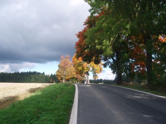 P9282245