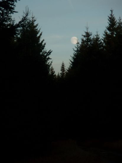 P9282280