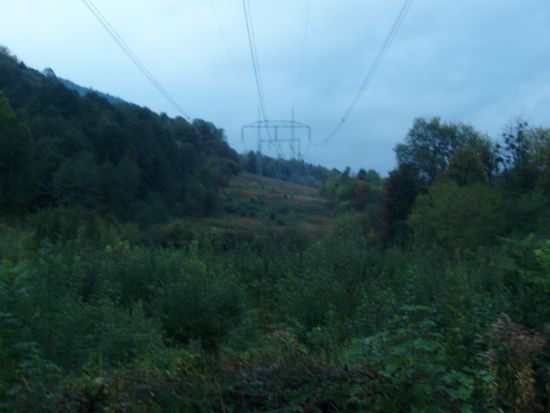 PA142514