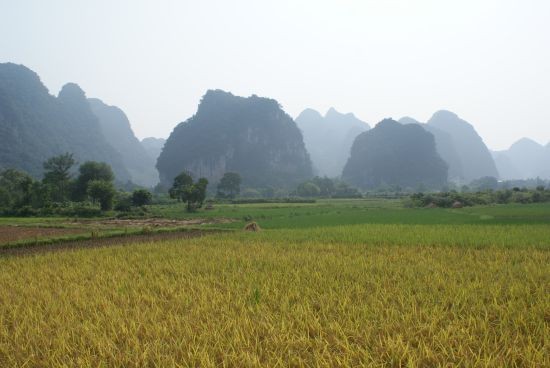 DSC00959