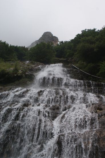 DSC00238