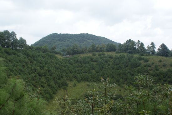 DSC00616