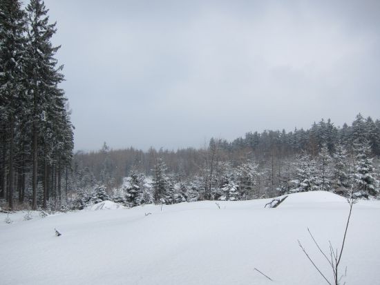 IMG_0515