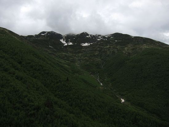 IMG_1164