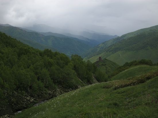 IMG_1178