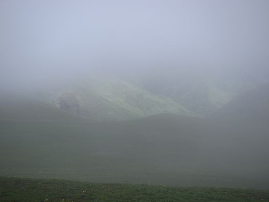 IMG_1234