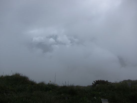 IMG_1254
