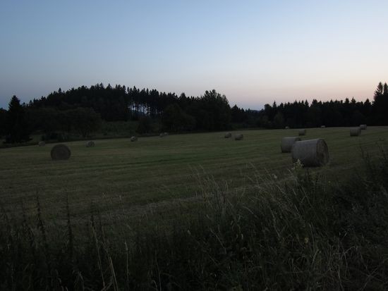 IMG_1843