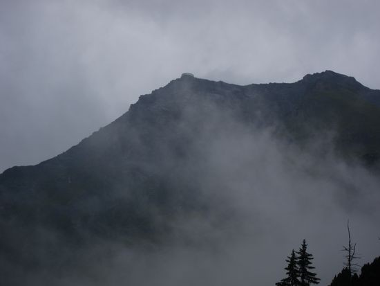 IMG_2348