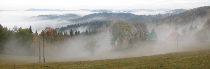 IMG_3904