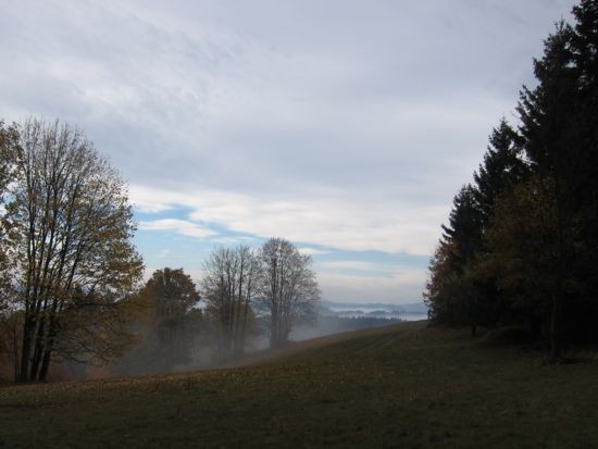 IMG_3909