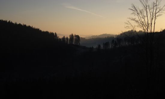 IMG_4782