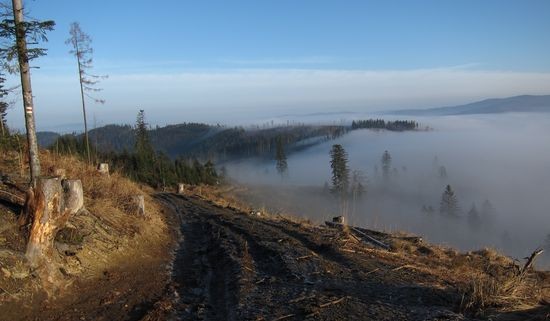IMG_4797