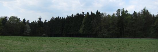 IMG_5245