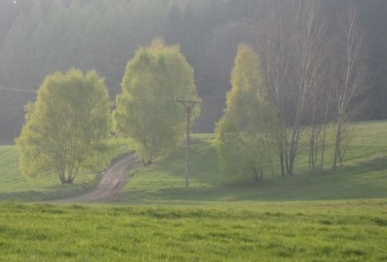 IMG_5375