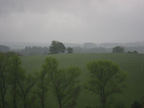 IMG_5711