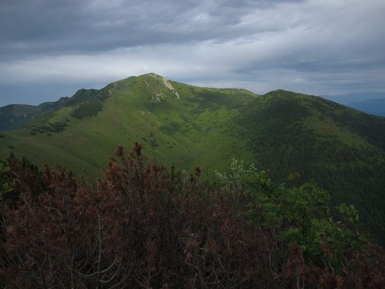 IMG_6415