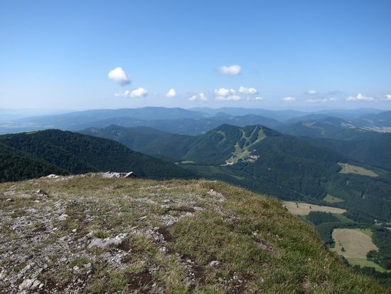 IMG_6481