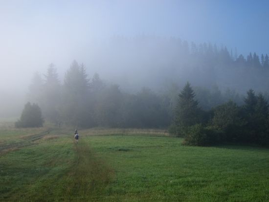 IMG_6505