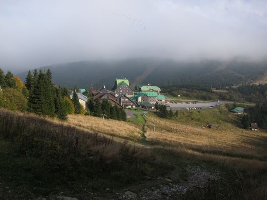 IMG_6806