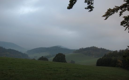 IMG_6886